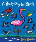 A Busy Days for Birds Signed
