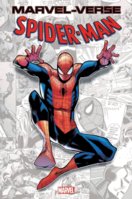 Marvel Verse Spiderman