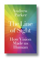 The Line of Sight : How Vision Made us Human