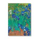 Van Gogh’s Irises Midi Adresár