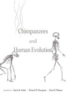 Chimpanzees and Human Evolution