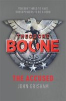Theodore Boone The Accused