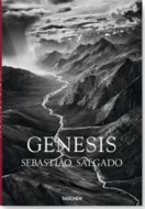 Salgado, Genesis