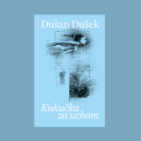 Texty Dušana Dušeka sú ako územia, ktoré sa každou knihou rozširujú 