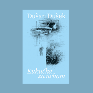 Texty Dušana Dušeka sú ako územia, ktoré sa každou knihou rozširujú 