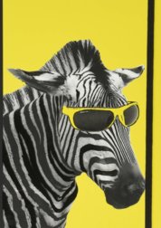 Notebook Office Cool Zebra