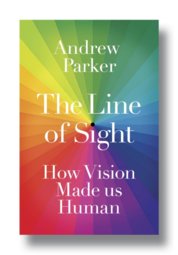 The Line of Sight : How Vision Made us Human