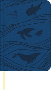 2027 Ocean malý