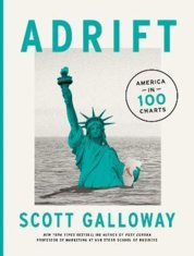 Adrift : 100 Charts that Reveal Why America is on the Brink of Change