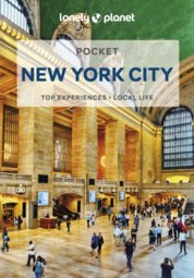 Pocket New York City 9