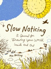 Slow Noticing