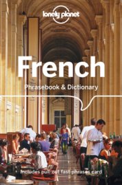 French Phrasebook & Dictionary 8