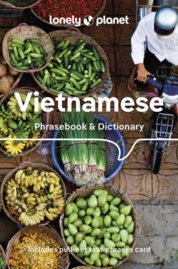 Vietnamese Phrasebook & Dictionary 9
