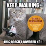 Keep Walking, This Doesnt Concern You: The Internets Favourite Memes