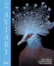 Aviary