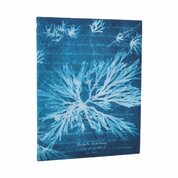 Sea Flowers Ultra Unlined