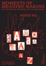 Moments of Meaning-Making