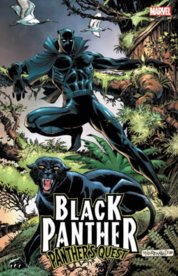 Black Panther Panthers Quest