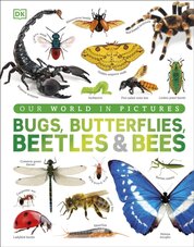 Our World in Pictures Bugs, Butterflies, Beetles and Bees