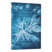 Sea Flowers Mini Lined