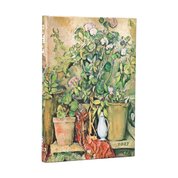 D2027 Cezanne Mini VERSO
