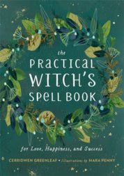 The Practical Witchs Spell Book