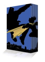 Dark Knight Returns Slipcase Set