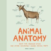 Accurate Animal Anatomy