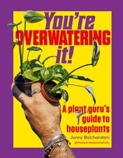 Youre Overwatering It!