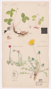 Hilma af Klint
