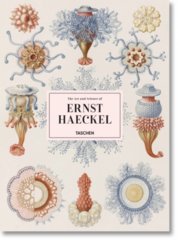 Haeckel