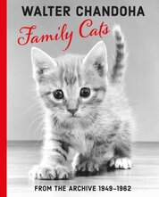 Walter Chandoha: Family Cats From the Archive 1949-1962