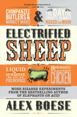 Electrified Sheep