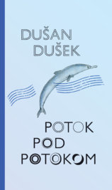 Potok pod potokom