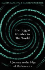 The Biggest Number in the World