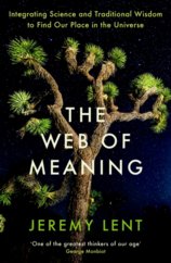 Web of Meaning