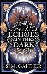 What Echoes in the Dark