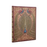 D2026/27 Hafiz´s Peacocks Ultra VER
