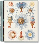 The Art and Science of Ernst Haeckel