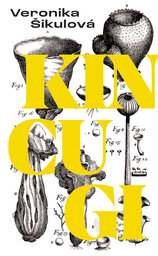 Kincugi