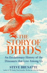 The Story of Birds