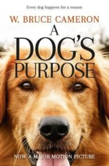 A Dogs Purpose