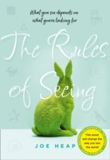 The Rules Of Seeing