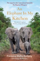 The Elephant in My Kitchen