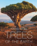 Trees of the Earth