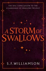 A Storm of Swallows