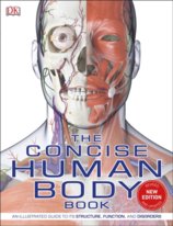 The Concise Human Body Book