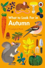 What to Look For in Autumn