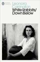 White Rabbits/Down Below