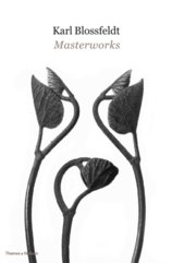 Karl Blossfeldt: Masterworks